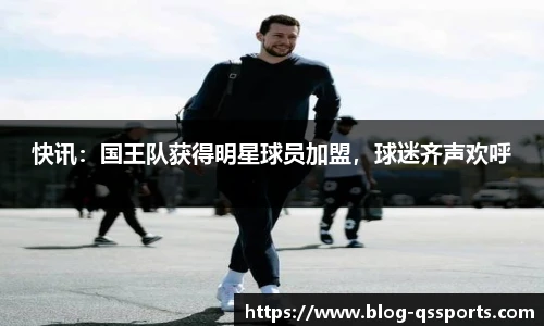 球速体育公司