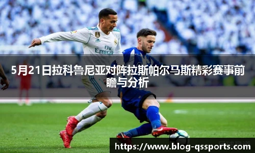 球速体育官网